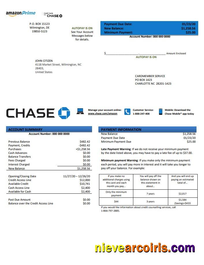 USA Chase bank credit card statement in .doc and .pdf format